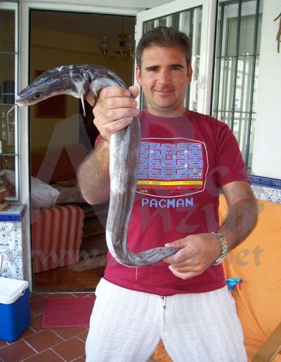 Fotos de Javier