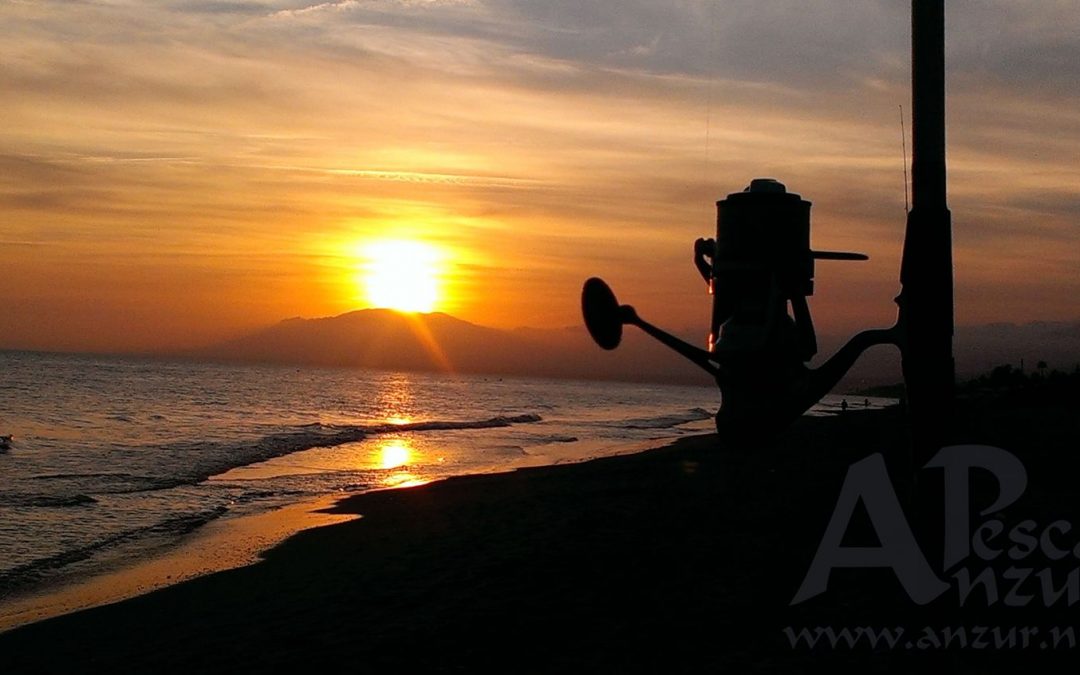 Galería de fotos