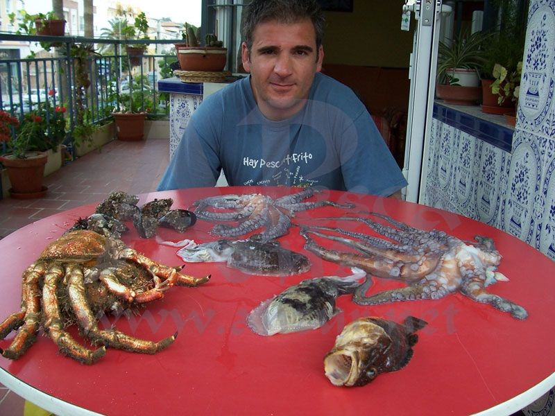 Fotos de Javier