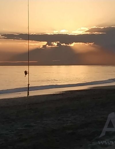 Paisajes 8Mar19