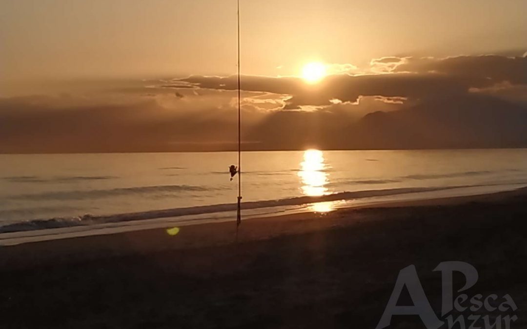 Paisajes 8Mar19