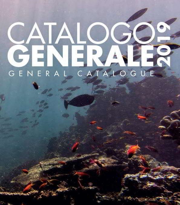 Catálogo Lineaeffe 19