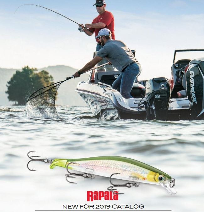 Catálogo Rapala 19