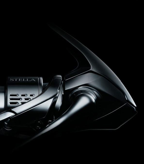 Catálogo Shimano 19