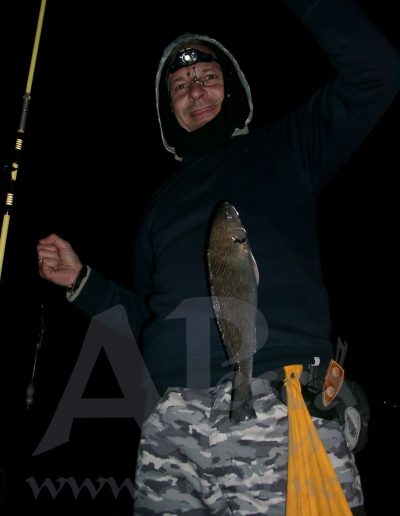 Pesquera 14Abr17