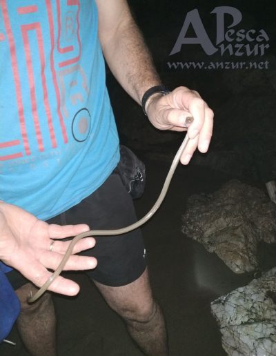 Pesquera 27Jul18