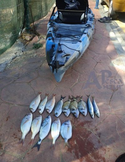 Kayak 29Sep19