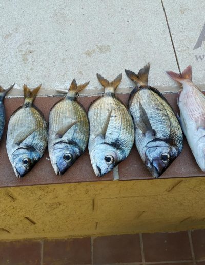Kayak 27Oct19