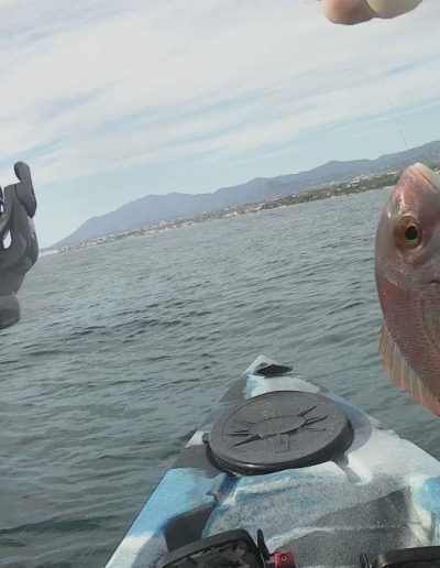 Kayak 24Nov19