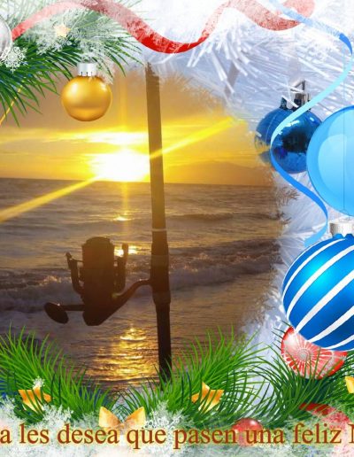 Navidad19