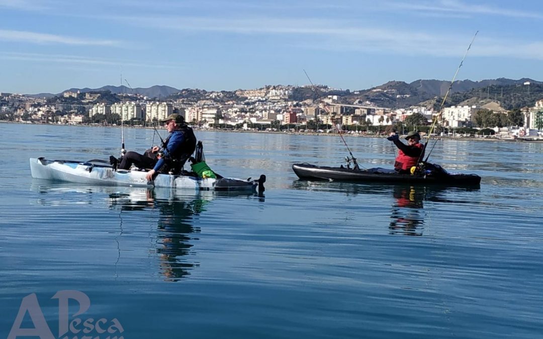 Kayak 2Feb20
