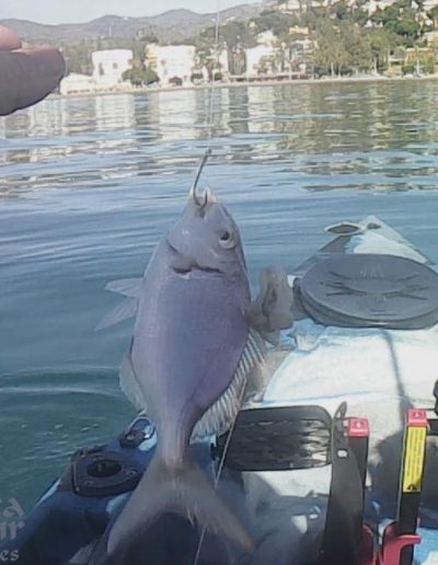 Kayak 2Feb20