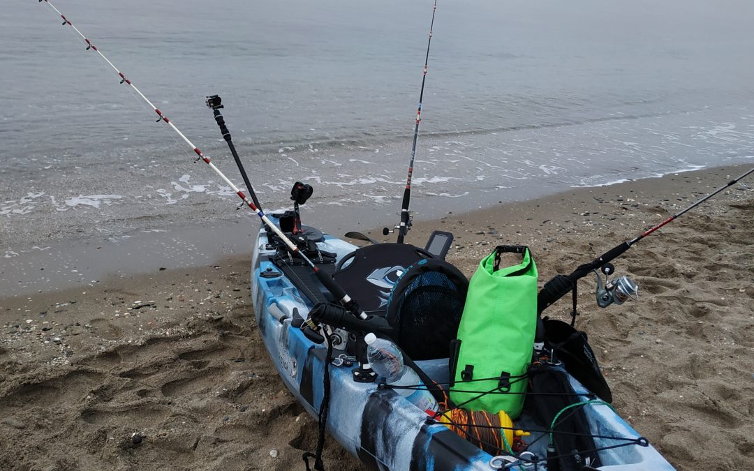 Kayak 16Feb20