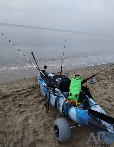 Kayak 16Feb20