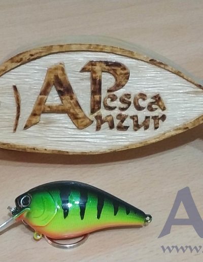 Javi Mohi + Logo