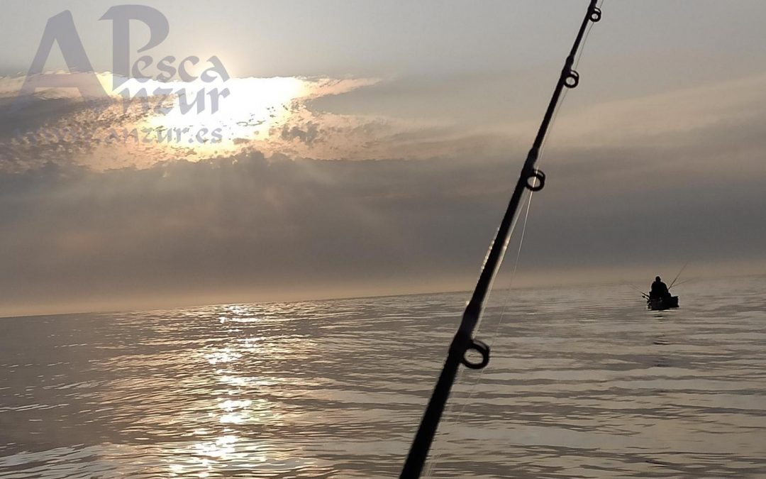 Kayak 22Sep20