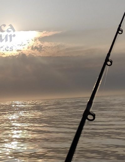 Kayak 22Sep20