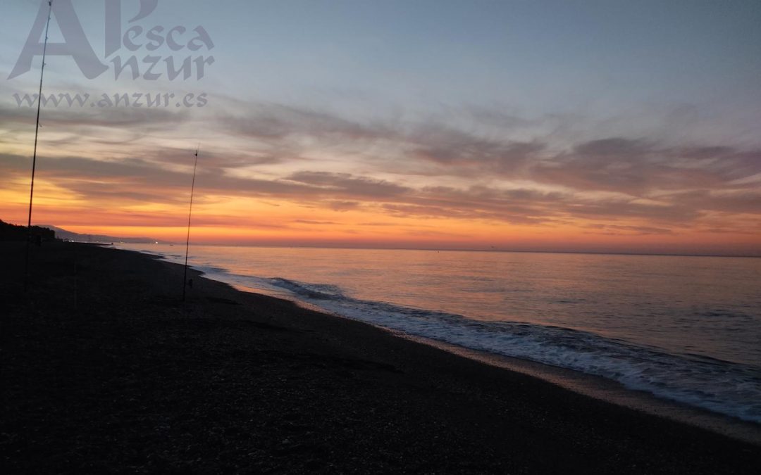 Surfcasting 10Sep21